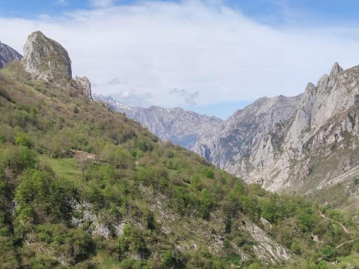 La Casina De Tielve De Cabrales Dentro Del Parque Nacional Picos De Europa Vila Exterior foto